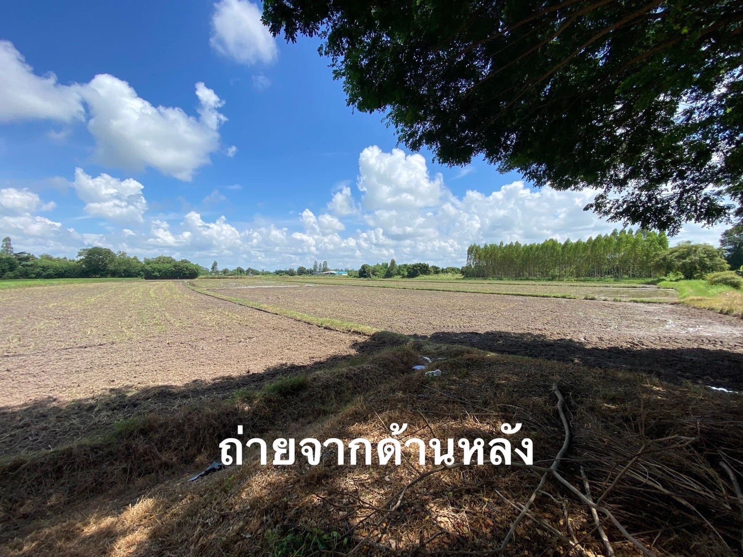 ขายที่ดินเปล่า โฉนดครุฑแดงติดถนนคอนกรีต ทำเลทอง จ.สุพรรณบุรี 