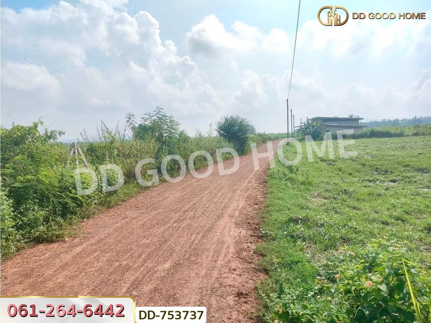 ที่ดินปากช่อง 6 ไร่ 298.3 ตร.ว. ราชบุรี ใกล้โชคชัยฟาร์ม