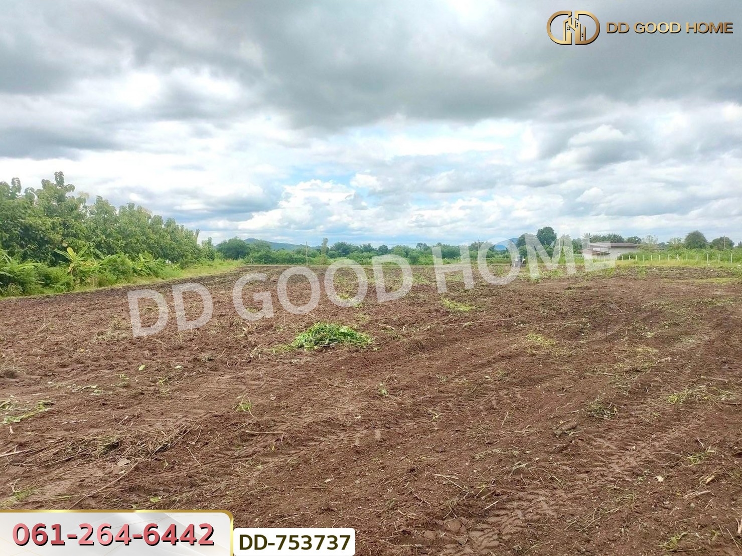 ที่ดินปากช่อง 6 ไร่ 298.3 ตร.ว. ราชบุรี ใกล้โชคชัยฟาร์ม