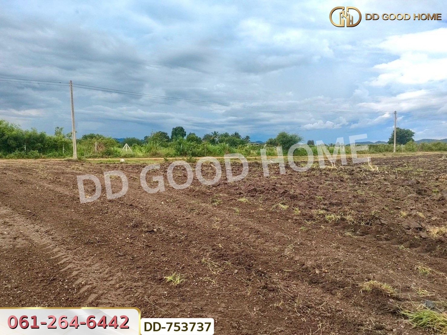 ที่ดินปากช่อง 6 ไร่ 298.3 ตร.ว. ราชบุรี ใกล้โชคชัยฟาร์ม