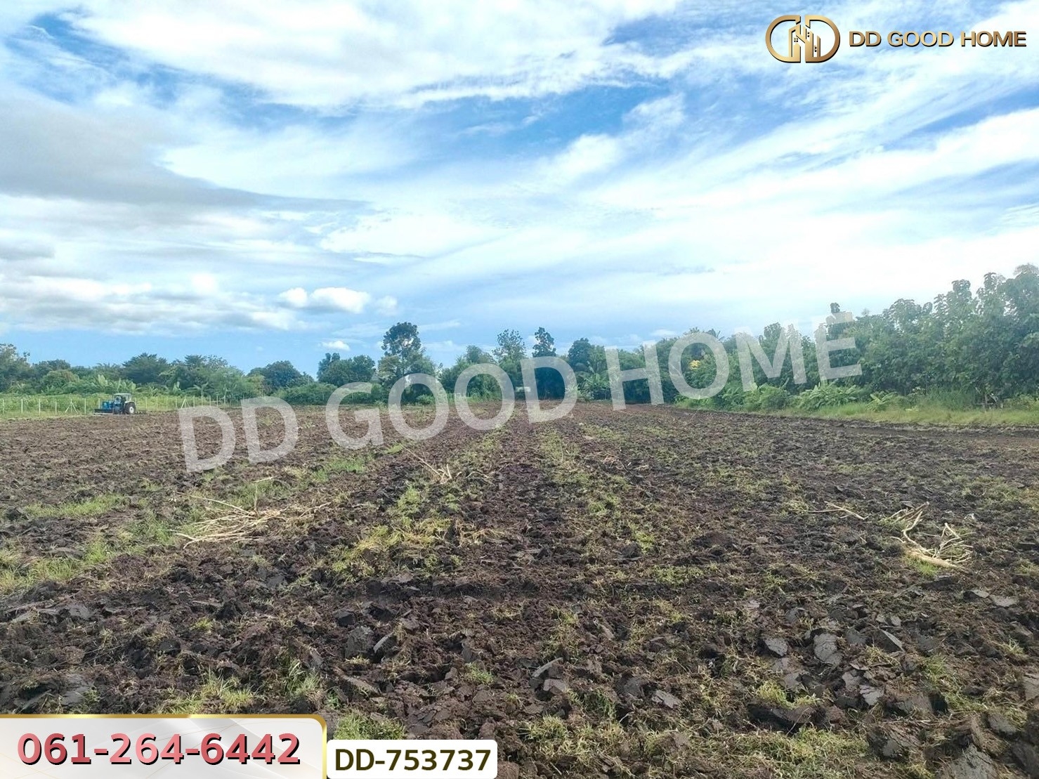 ที่ดินปากช่อง 6 ไร่ 298.3 ตร.ว. ราชบุรี ใกล้โชคชัยฟาร์ม