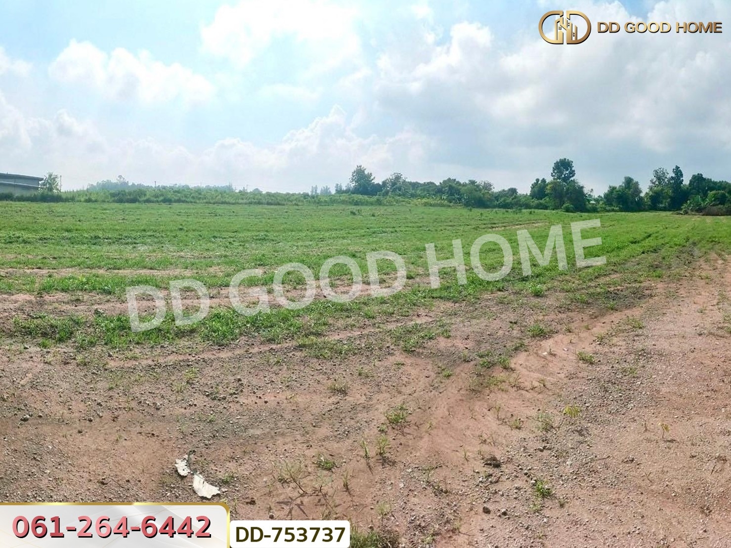 ที่ดินปากช่อง 6 ไร่ 298.3 ตร.ว. ราชบุรี ใกล้โชคชัยฟาร์ม