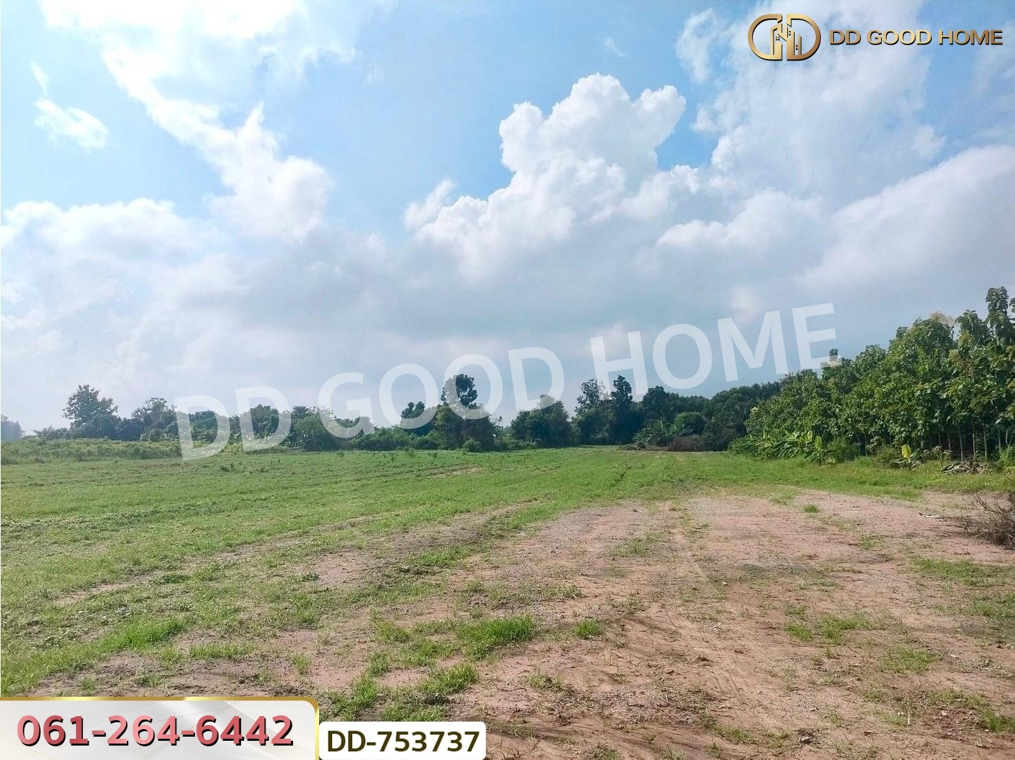 ที่ดินปากช่อง 6 ไร่ 298.3 ตร.ว. ราชบุรี ใกล้โชคชัยฟาร์ม