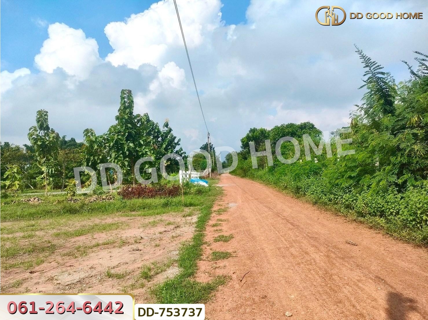 ที่ดินปากช่อง 6 ไร่ 298.3 ตร.ว. ราชบุรี ใกล้โชคชัยฟาร์ม