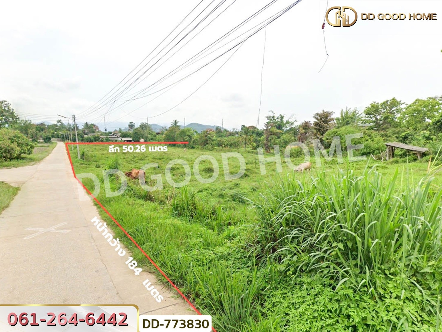 ที่ดินแม่สรวย 4 ไร่ 252 ตร.ว. เชียงราย ใกล้องค์การบริหารส่วนตำบลท่าก๊อ