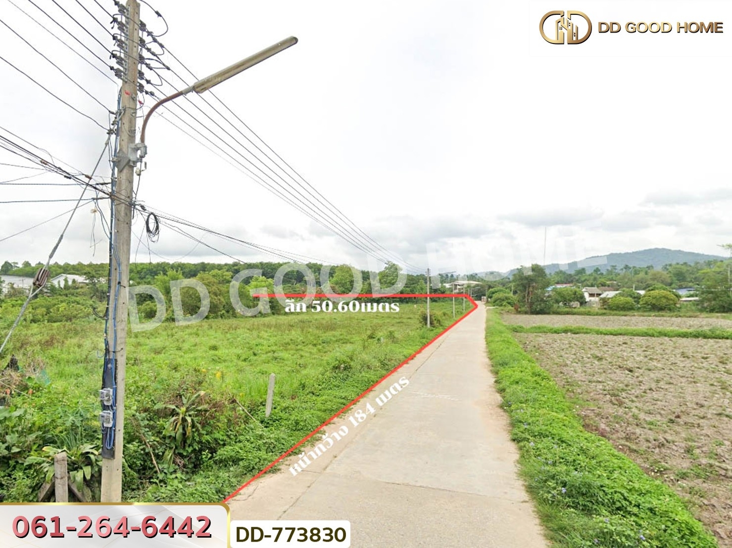 ที่ดินแม่สรวย 4 ไร่ 252 ตร.ว. เชียงราย ใกล้องค์การบริหารส่วนตำบลท่าก๊อ