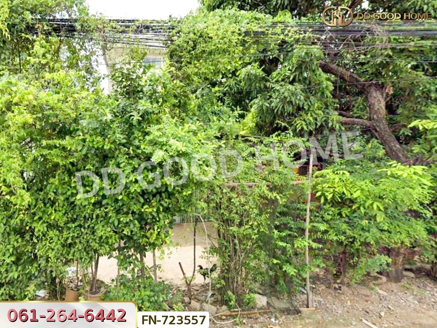 ที่ดินคูคต 50 ตร.ว. ซ.ลำลูกกา 27 ปทุมธานี ใกล้สนามบินดอนเมือง