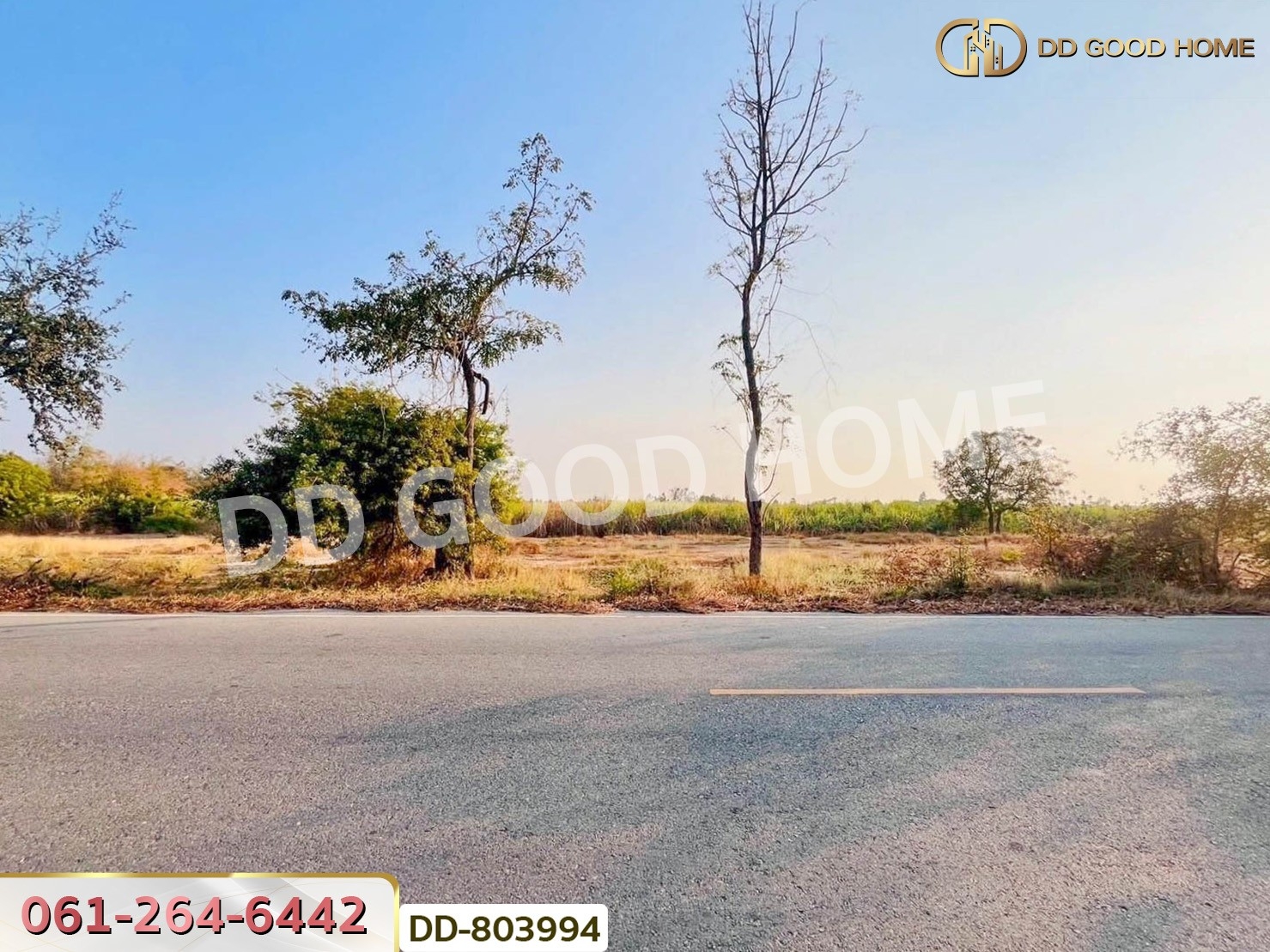 ที่ดินหนองหญ้าไซ 200 ตร.ว. สุพรรณบุรี ใกล้วัดหนองกรับ
