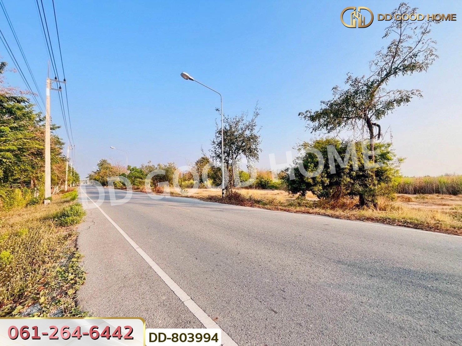 ที่ดินหนองหญ้าไซ 200 ตร.ว. สุพรรณบุรี ใกล้วัดหนองกรับ