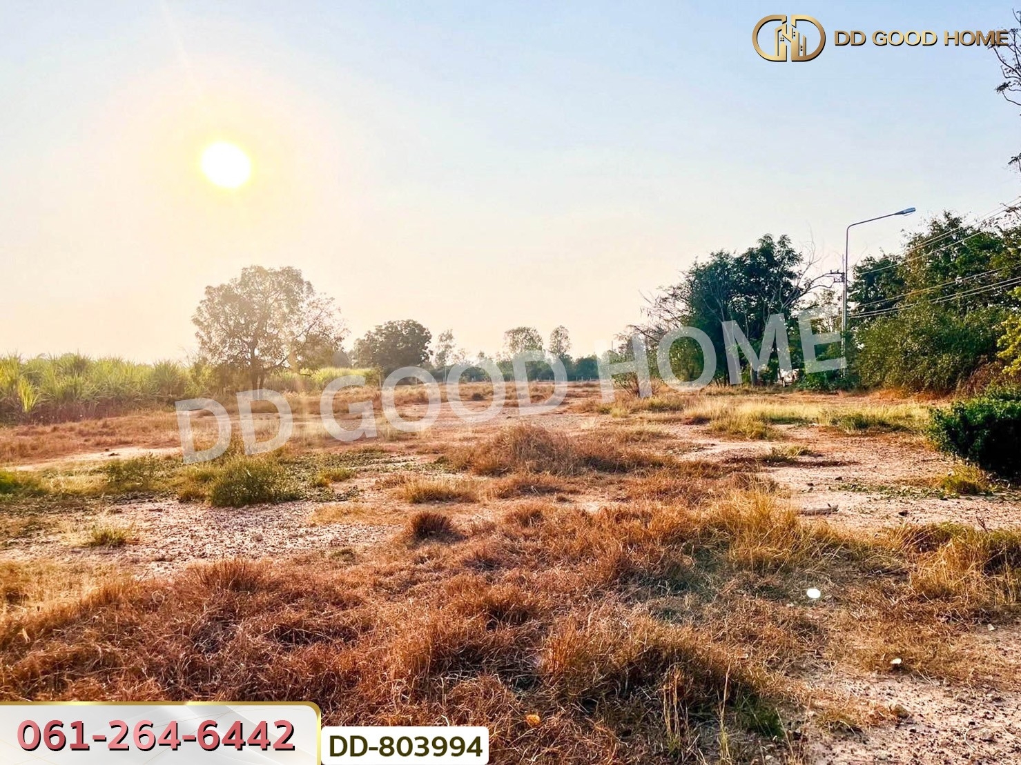 ที่ดินหนองหญ้าไซ 200 ตร.ว. สุพรรณบุรี ใกล้วัดหนองกรับ