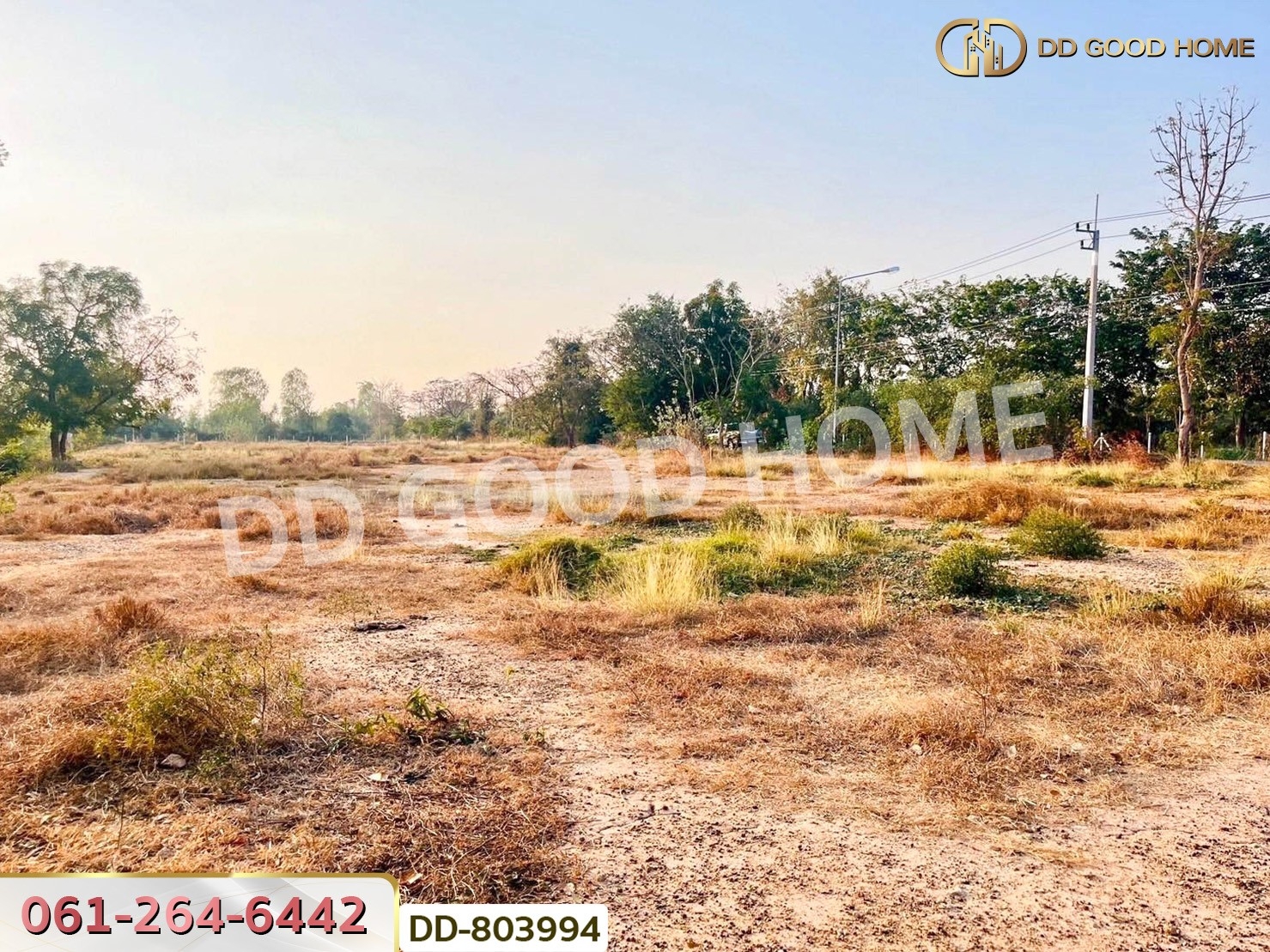ที่ดินหนองหญ้าไซ 200 ตร.ว. สุพรรณบุรี ใกล้วัดหนองกรับ