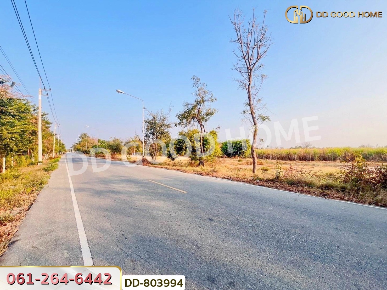 ที่ดินหนองหญ้าไซ 200 ตร.ว. สุพรรณบุรี ใกล้วัดหนองกรับ