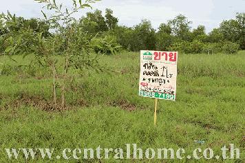 ขายที่ดิน 1 ไร่ ถนน คลองหลวง ใกล้ สวนสนุกดรีมเวิลด์ * ทำเลดี ราคาถูก