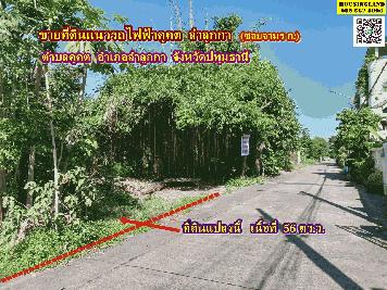 ขายที่ดินแนวรถไฟฟ้าคูคต ซอยจามร ก.(แปลง1) ลำลูกกา ปทุมธานี