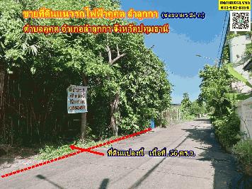 ขายที่ดินแนวรถไฟฟ้าคูคต ซอยจามร ก.(แปลง2) ลำลูกกา ปทุมธานี