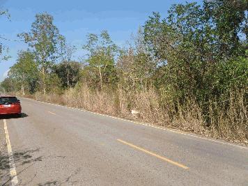 ขายที่ดิน 12-3-40 THB4,000,000 พระธาตุบังพวน, เมือง, หนองคาย