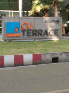 Cu Terrace 