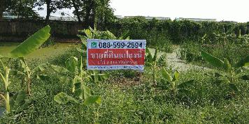 ขายที่ดิน ซอยกุญชร14​ ตำบลคลอง1 จังหวัดปทุมธานี​ พร้อมโอน​