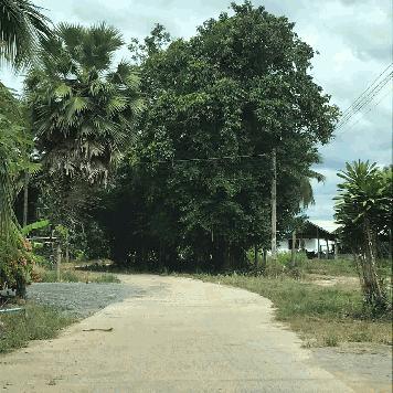 ขายที่ดินทำเลดีใกล้หาดชะอำ อำเภอท่ายาง จังหวัดเพชรบุรี