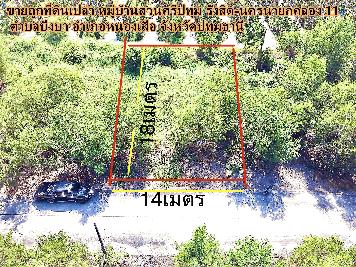 ขายถูกที่ดินเปล่า หมู่บ้านสวนศรีปทุม รังสิต-นครนายกคลอง 11 ตำบลบึงบา  อำเภอหนองเสือ  จังหวัดปทุมธานี 