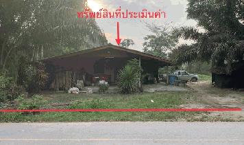 ขายบ้านเดี่ยวใกล้ โลตัลเวียงสระ อำเภอเวียงสระ จังหวัดสุราษฎร์ธานี PKK02-13576