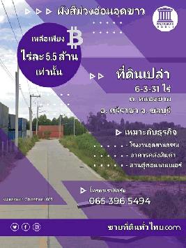 ขายที่ดิน ศรีราชา/ชลบุรี…ต. หนองขาม 6-3-31 ไร่ (ผังสีม่วงอ่อนมีจุดสีขาว)