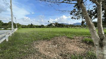 ขายที่ดินแปลงสวย เขาใหญ่ ปากช่อง ติดถนน 2 ด้าน ขนาดที่ดิน 725 ตร.ว. ใกล้ คีรีมายา