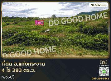 ที่ดิน อ.แก่งกระจาน 4 ไร่ 393 ตร.ว. เพชรบุรี