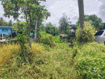 ขายที่ดินเปล่า ทำเลดี เขตหนองจอก กรุงเทพมหานคร