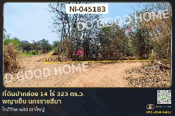 ที่ดินปากช่อง 14 ไร่ 323 ตร.ว. พญาเย็น นครราชสีมา ใกล้The wild เขาใหญ่ NI-045183