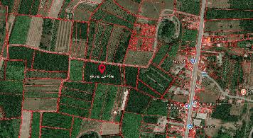 ขายที่ดินเปล่าพร้อมสวนปาล์ม  13 ไร่ ทำเลดี อำเภอรัษฎา จังหวัดตรัง