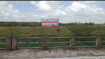 ขายที่ดินเปล่า ใกล้แหล่งรพ. ห้าง และโรงเรียน อำเภอเมืองนครศรีธรรมราช